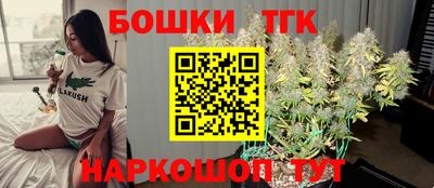 МДПВ Камышлов