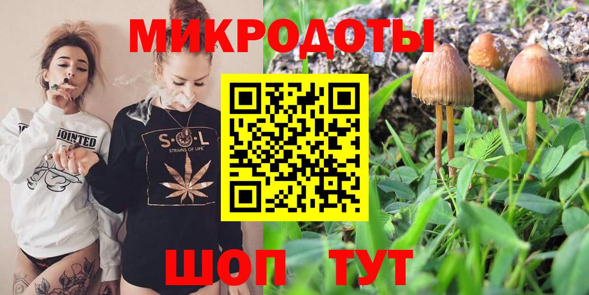 Галлюциногенные грибы прущие грибы Арсеньев